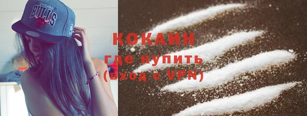 прущие грибы Надым