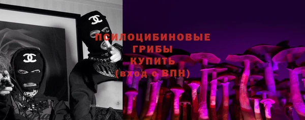 2c-b Верхний Тагил