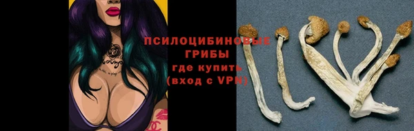 мдпв Верхнеуральск